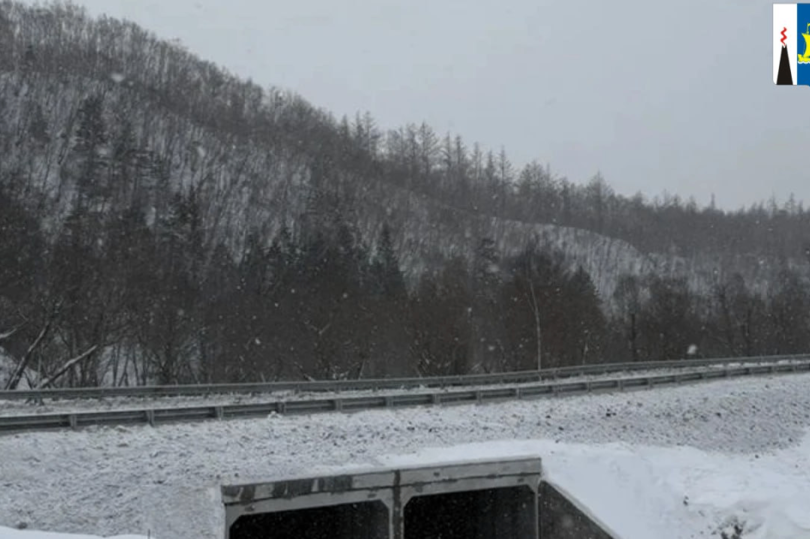 В Холмском районе Сахалинской области приступили к демонтажу опор старого моста через реку Правда