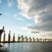 Жильё на берегах Невы одобрили в обмен на проект Большого Смоленского моста