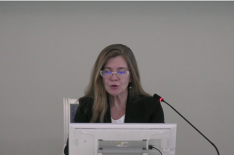 Стартовала экспозиция проектов планировки и проектов межевания территории в Московском, Колпинском, Василеостровском и Кировском районах Петербурга