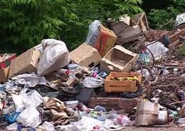 Минстрой: Плата за переработку мусора не повлияет на тарифы ЖКХ