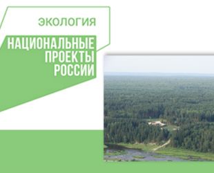 Более 174 миллионов рублей поступило в Алтайский край на реализацию национального проекта «Экология»