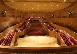 Содержание Концертного зала Мариинского театра оценено в 42 млн рублей