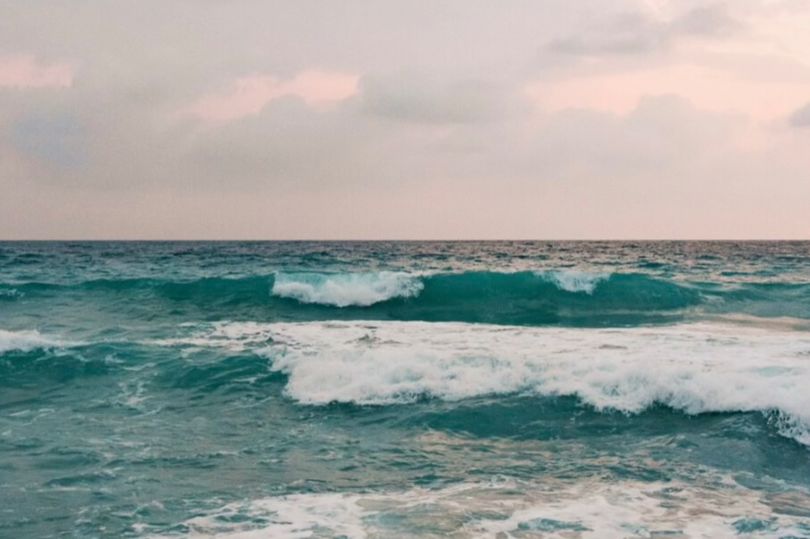 ПСК построит ЖК бизнес-класса рядом с Галерной гаванью в Петербурге