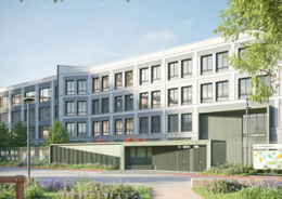 В ленинградском Новоселье появится современная школа на 850 мест с муралом лебедя-кликуна