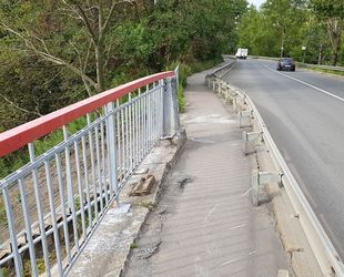 РЖД оштрафованы на 100 тысяч рублей за нескошенную траву