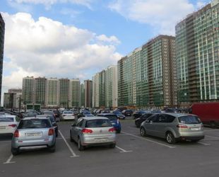 Петербург занял 29 место в рейтинге оценки жителями качества дорог и парковок