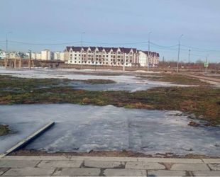 В Псковской роще Великого Новгорода построят площадку фудкорта и смонтируют три качели-скамьи