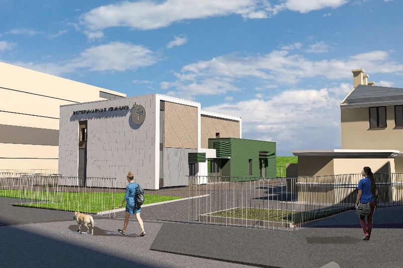 В Выборгском районе Петербурга появится ветлечебница