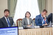 Бабюк Ирина Анатольевна, Координационный совет по развитию транспортной системы