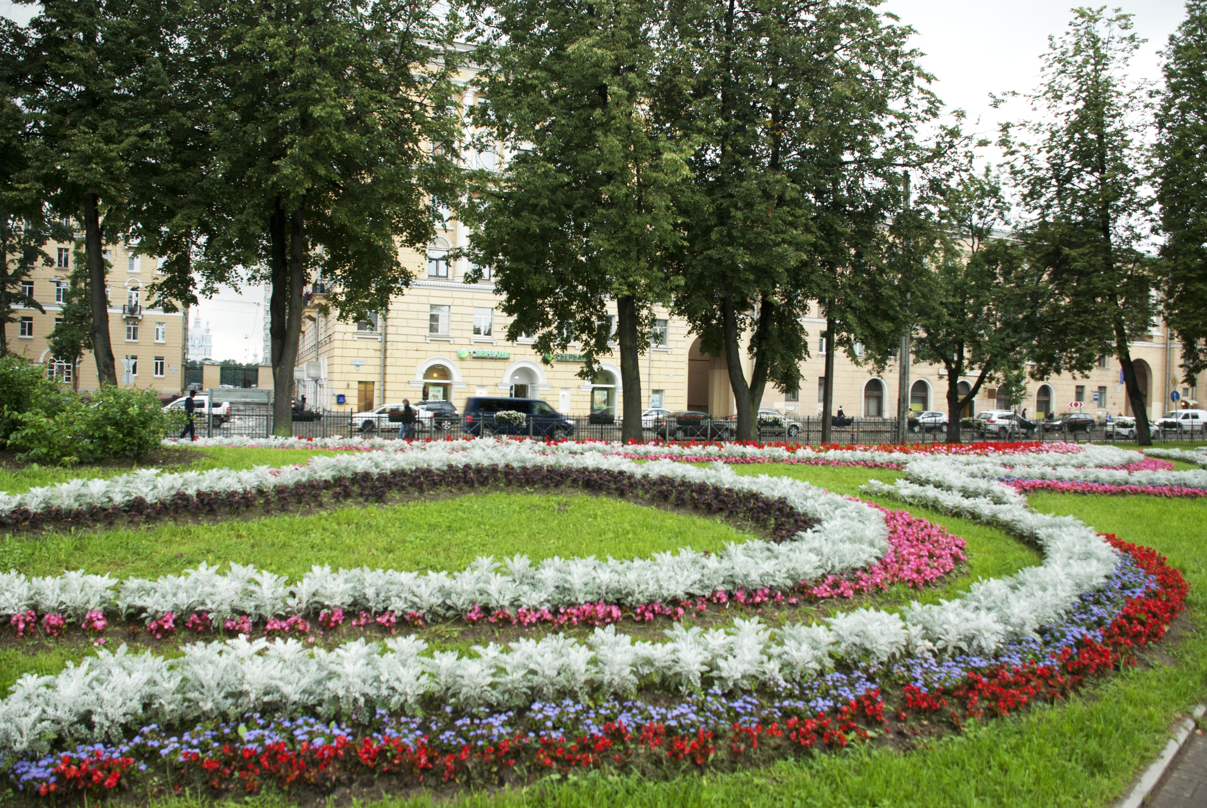 Сквер на Демьяна бедного парк цветов СПБ
